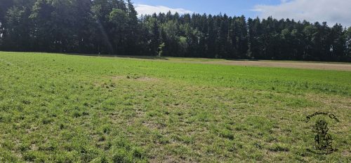 Das leere Feld, vor unserer Belagerung.