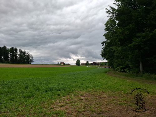 am Ende der Wiese stehen unsere Fahrzeuge
