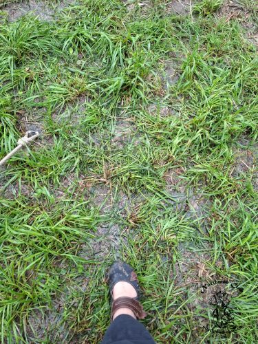 Pfützen vor dem Zelt so viel Regen