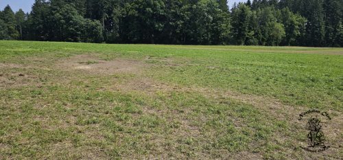 Northman-Clan Pfingstlager 2025 in Brütten Ende des Lagers das Feld ist geräumt